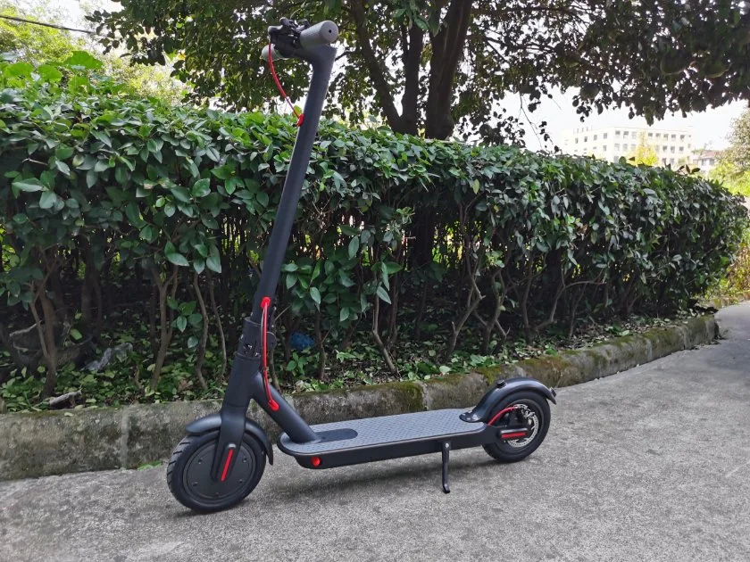 Two Wheel Smart Rear 500W Adult Self Balancing Electric Scooter