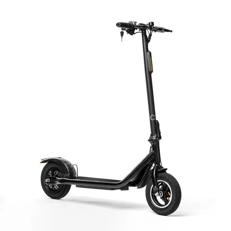 Electric Scooter 10inch 2 Motor Wheel Lithium Battery Adult Fat Tire Folding Skateboard