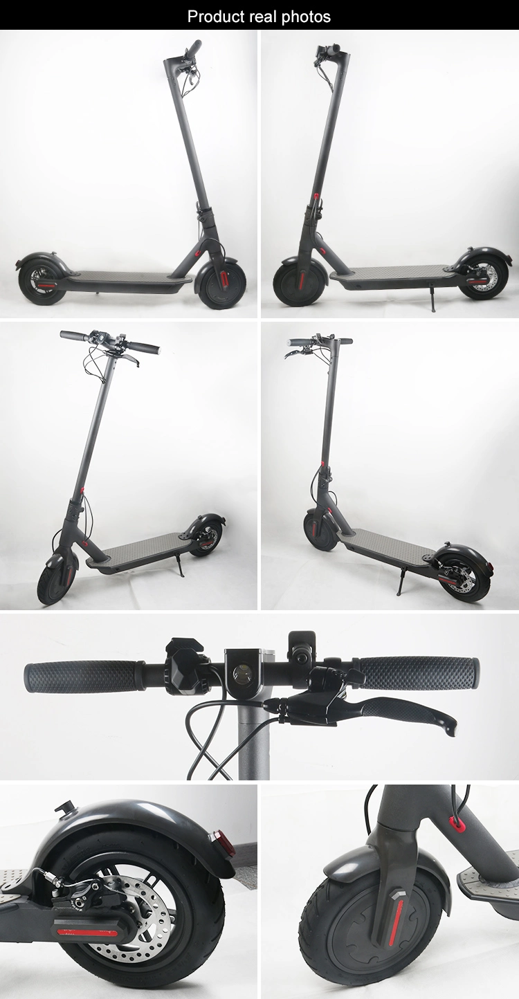 New Design Fat Tire Two Wheel Smart Mini Electric Self Balancing Scooter